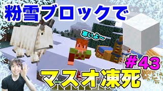 【マスクラ2021】粉雪ブロックでマスオ、凍死しました。！Ver1.17#43