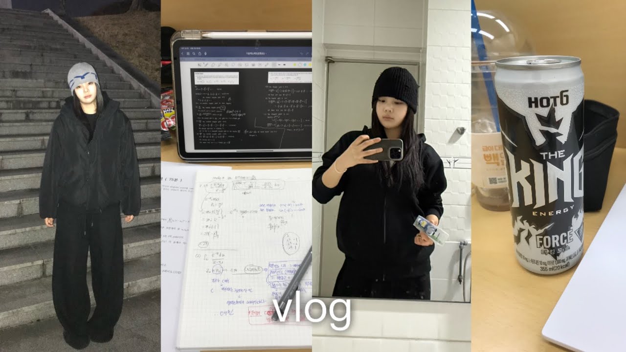 5분 공부하기 싫다.. 기말고사 시험기간 브이로그