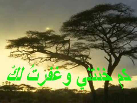 يا سيدي انا لست لك الشاعر معتز الراوى 