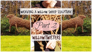 Weaving a willow sheep sculpture Part 2