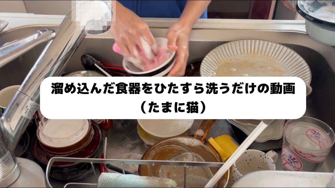 溜め込んだ食器をひたすら洗う動画