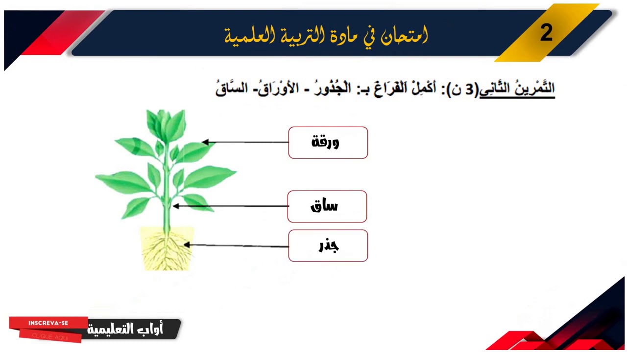 حل امتحان الفصل الأول في مادة التربية العلمية/السنة الثانية ابتدائي 2021