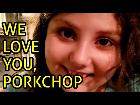 pet snakes and dogs CLEANING AND RESCAPING OUR HOGNOSE SNAKE'S HABITAT