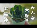 【みんなで楽しもう！】育て方をみんなで共有！楽しい夏の始まりです。