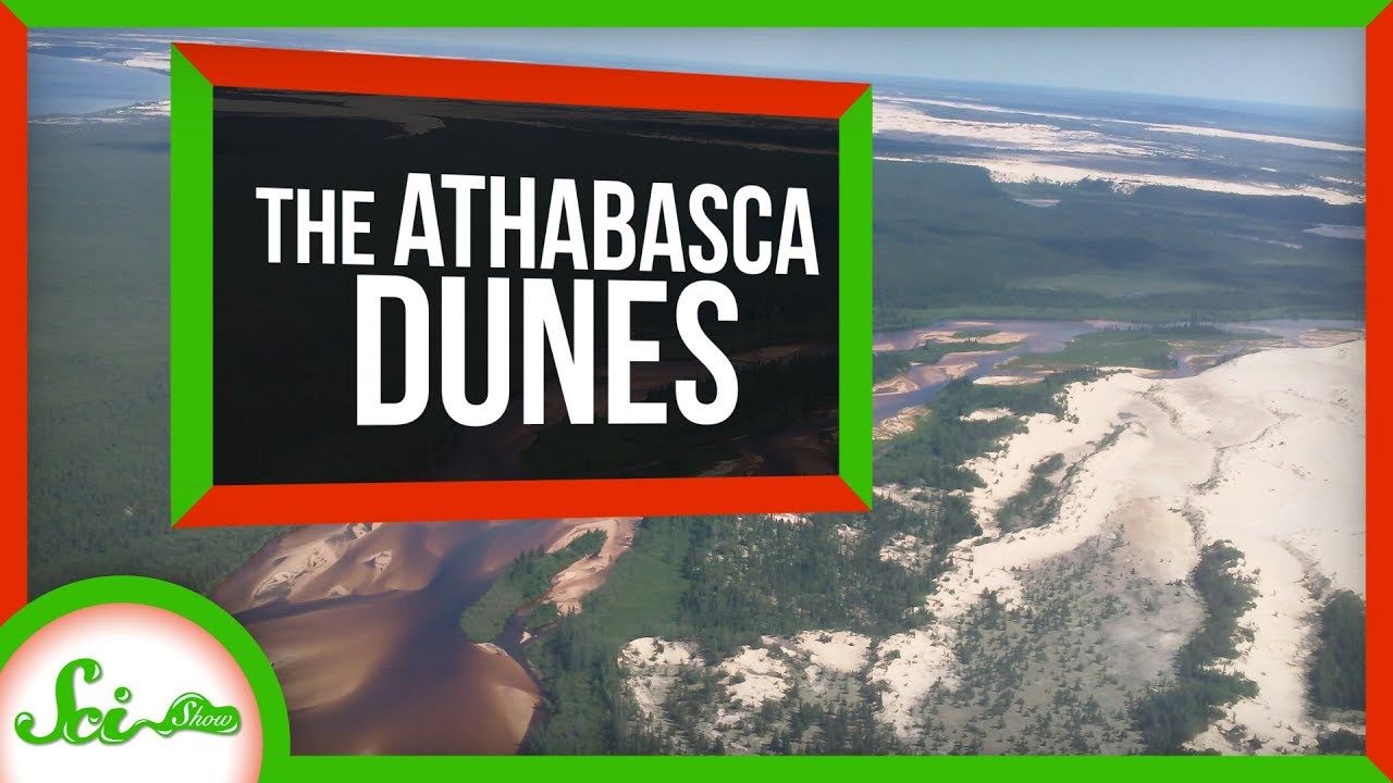 The Freezing Dunes of Northern Canada