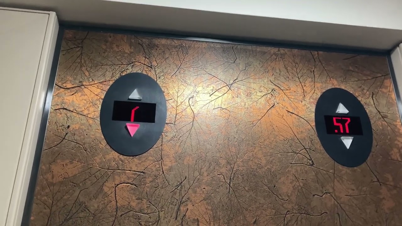 [4K test]東涌海堤灣畔1座及住宅會所￼奧的斯升降機