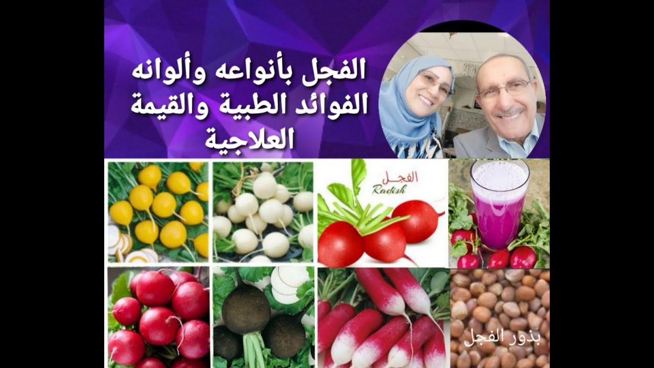 الفجل بأنواعه وألوانه ، فوائده الطبية و القيمة العلاجية ، #فوائد_الفجل ...