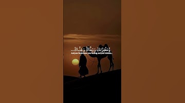 #يوم_الجمعة #جمعة_مباركة #جمعة #سورة_الكهف #الصلاة_على_النبي #ﷺ #اكسبلور #foryou #fyp