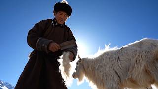 Inside the Modern Cashmere Factory: From Goat Farm to Luxury Sweaters (The Whole Process)