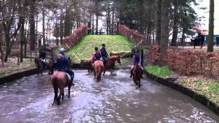Crosstraining 2 Myrle Met Coco En Nikita In Ysselsteyn