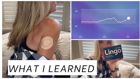 What Lingo Taught Me About My Blood Sugar in Just 30 Days