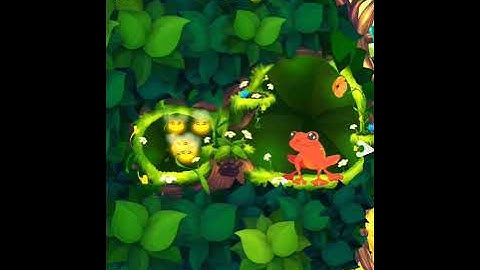 Flutter. using frog delicacies