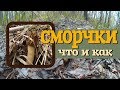 Сморчки - первые весенние грибы. Где собирать, как готовить, мнение экспертов. Подробно.