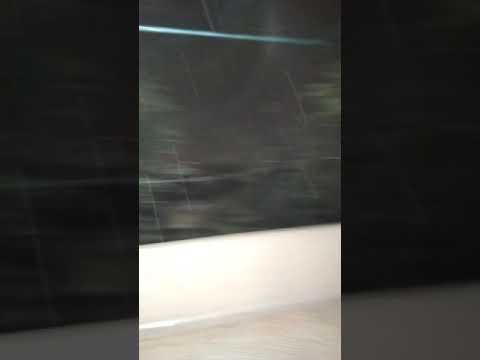 ثلوج الرصيفة