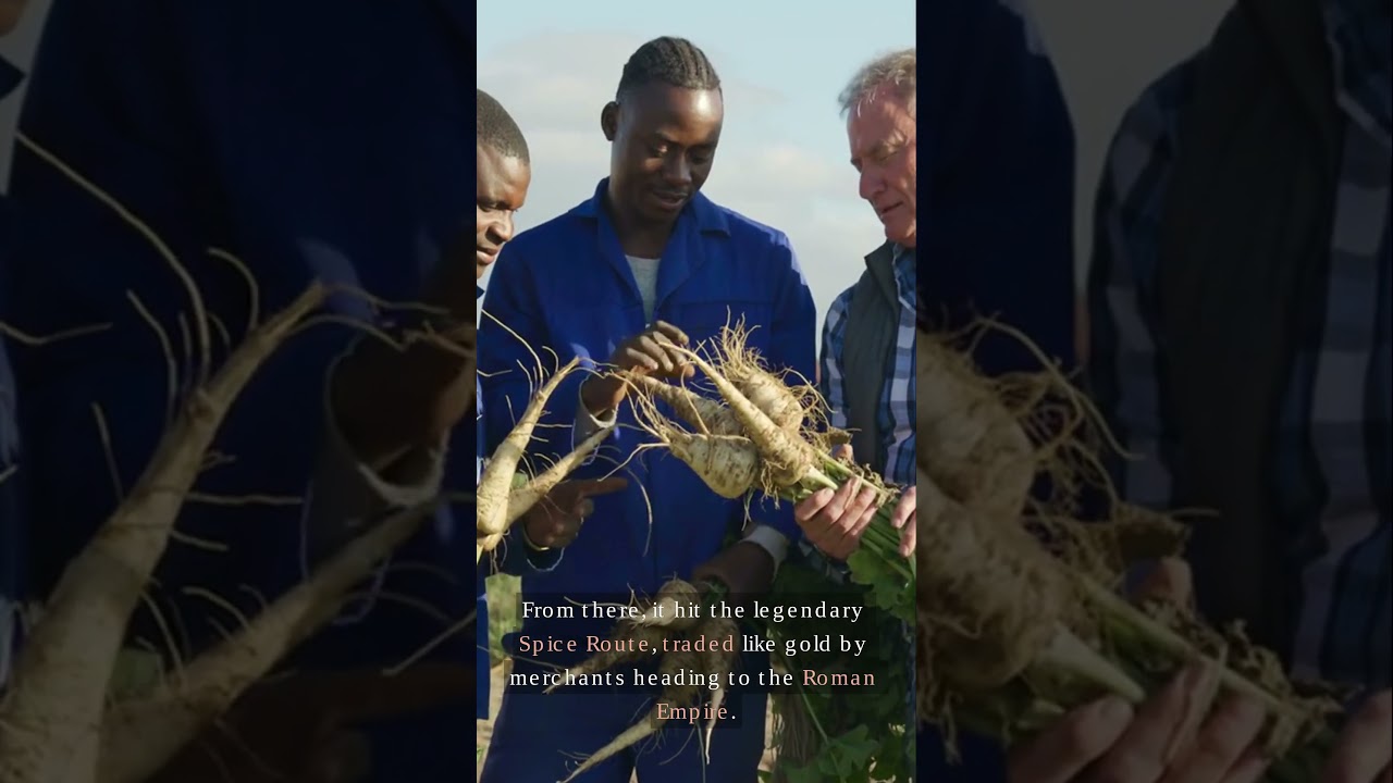 The Cultural Significance of Ginger Across Civilizations 