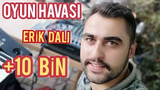Halil Durmuş - Erik Dalı 2017