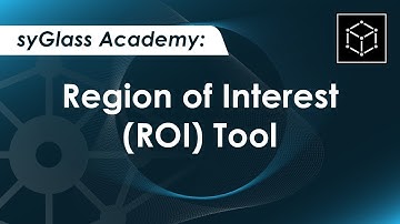 syGlass Academy: Region of Interest (ROI) Tool