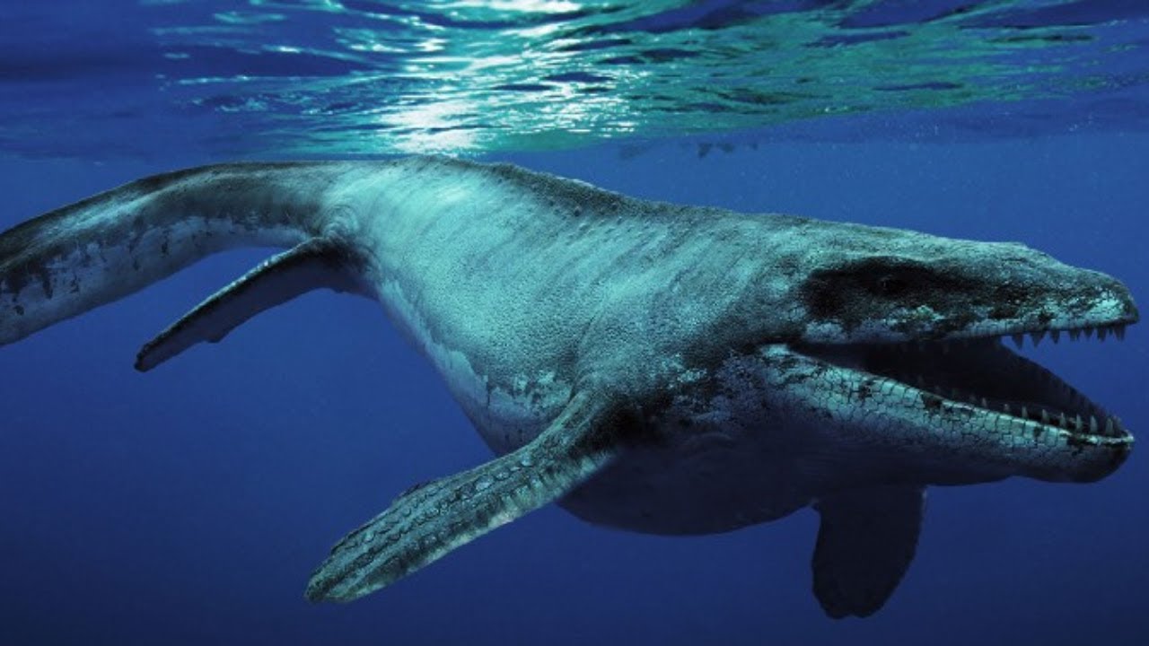 The 10 deadliest marine reptiles - YouTube
