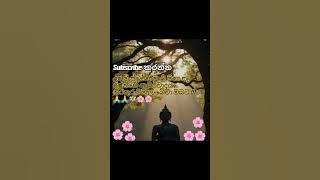 👉 subscribe karanna hamoma 👈