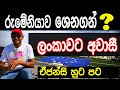 රුමේනියාව Schengen වුනොත් ලංකාවට අවාසී| About Schengen Update in Romania|Romania New UPDate Sinhala