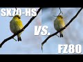 Canon SX70-HS vs. Panasonic FZ80 4K Video Quality Comparison