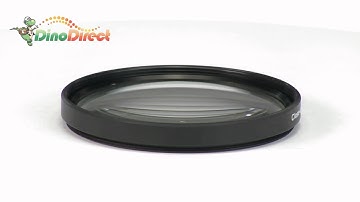 55mm Macro Close-Up +2 Lens Filter for Digital Camera  from Dinodirect.com