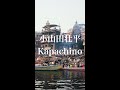 小山田壮平「Kapachino」カバー / ザ・ランデヴー #shorts