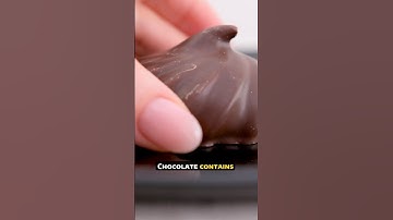 Why Does Chocolate Melt So Easily? 🍫🔥 #shorts #chocolate