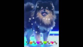 Bts Yeontan На Сцене🐾💚