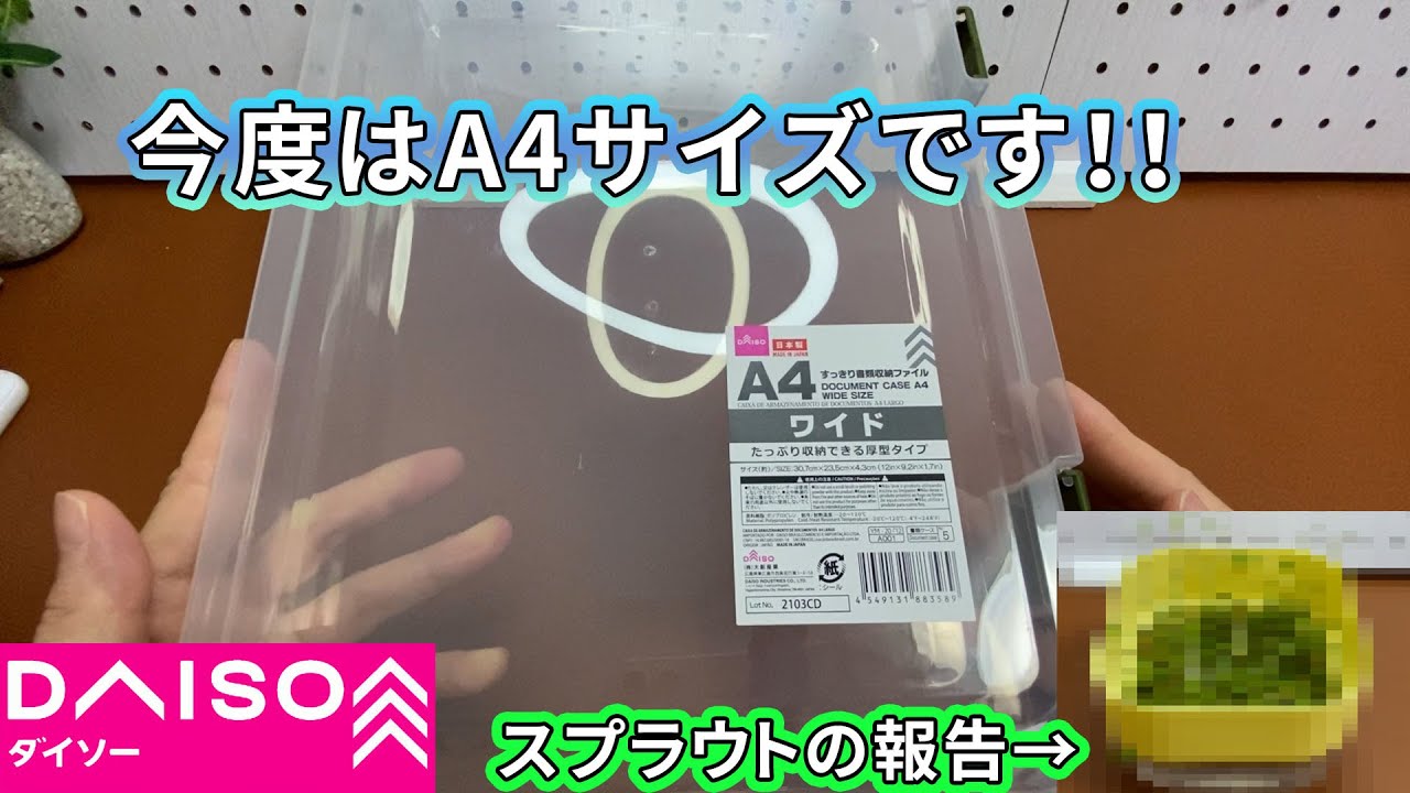 ダイソー購入品】前回に引き続き、すっきり書類収納ファイルA4 - YouTube