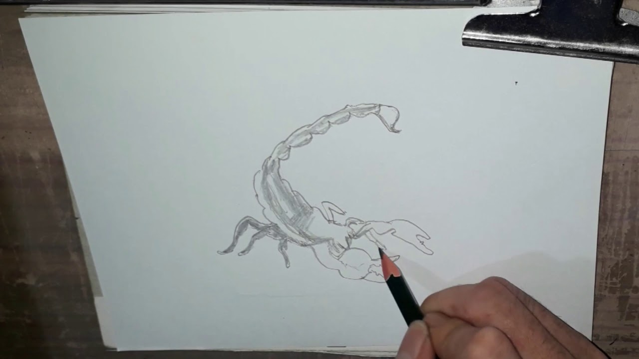 CARA MENGGAMBAR Scorpion dengan Pensil YouTube