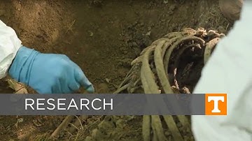 UT Forensic Anthropology Center