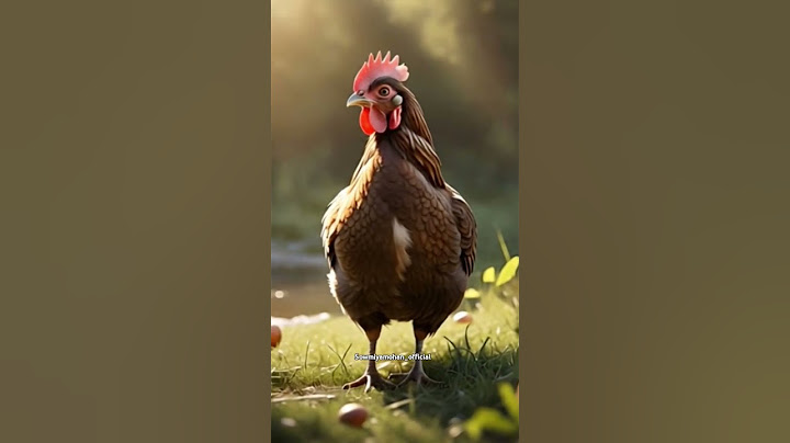 ஓ....இப்படி தான் அறிவு வருமா😆😆😆😆 #funny_chicken #kozhi_koothugal #funny #comedy #trending #shorts
