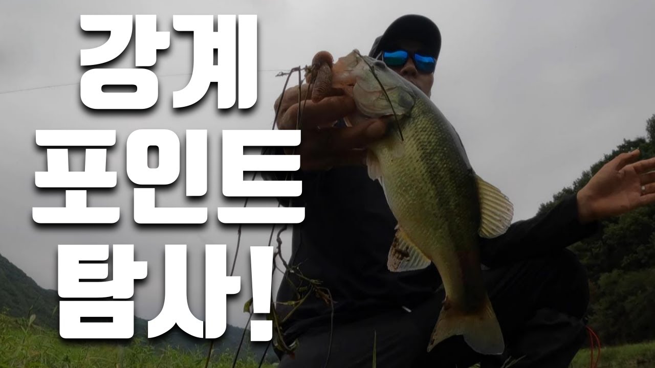 배스낚시”넓은 강계, 쭈욱 돌아보며 포인트 탐사 낚시!”/bass fishing
