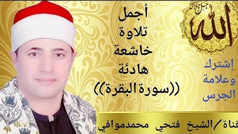 أهم التلاوات الهادئة الخاشعة في سورةالبقرة /مرتل/ للقارئ الشيخ فتحي محمد موافى /أرح قلبك وحصن نفسك