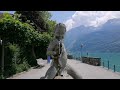 11.06.2023 - Brienz - (BE) - Switzerland 🇨🇭