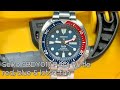 Seiko Padi Turtle SBDY017 Review - is it worth the premium over a regular Turtle?