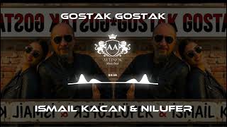 KOSTAK - NİLÜFER & İSMAİL KAÇAN ( REMİX ALTINOK APILI )