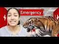 Story Time: THE TIME I GOT BIT BY A TIGER | Tyra Nicole