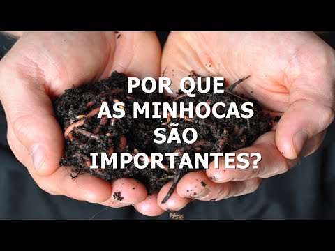 Vídeo: Por Que As Minhocas São Necessárias