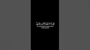 سورة النساء اية ٥٤ - القارئ سعد الغامدي - خلفية سوداء