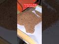 Copper Wire Granulator Machine|| Save Time and More Profit|| +91-9821666286/9315445679