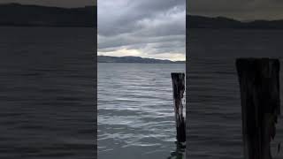 Seni Benim Kadar Seven Olmaz Ki... Resimi