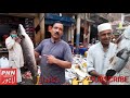 Machli Mandi In Lahore || fish King,, || Big Rohu Fish | Faryal Hameed | PAKISTAN PNN LAHORE LIVE