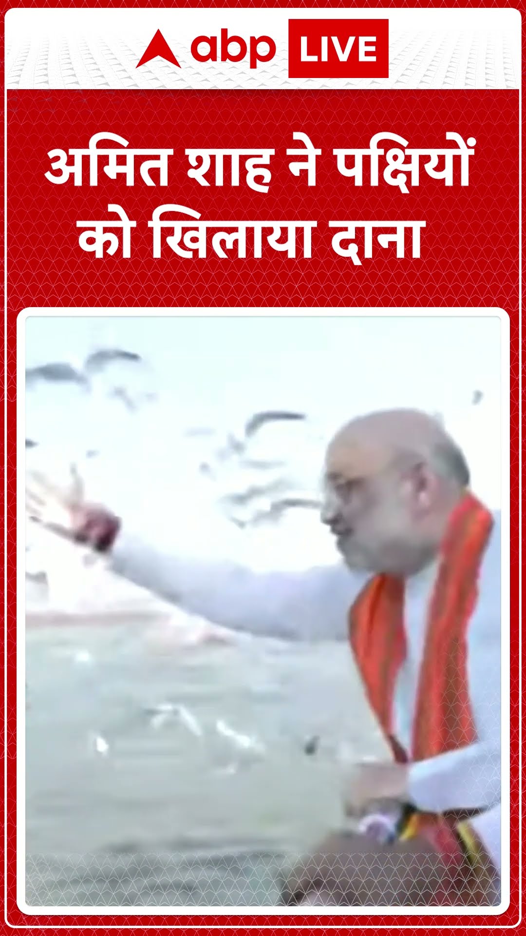 Mahakumbh 2025: Amit Shah ने पक्षियों को खिलाया दाना | ABP LIVE | SHORTS