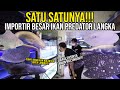 SAKIT J1WA‼️ GUDANG MILYARAN ISINYA IKAN PREDATOR SULTAN & LANGKA!! SATU - SATUNYA DI INDONESIA