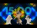 15 minutes 4k animal dance party with party dance mix 