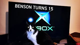 XBOX CAT TURNS 15!!! (10 years of Benson Xbox)
