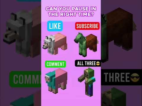 Can You Pause At The Right Time Minecraft Roblox Shorts