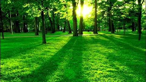 سورة التغابن للقارىء ابراهيم الجبرين .. Surat Attaghabun